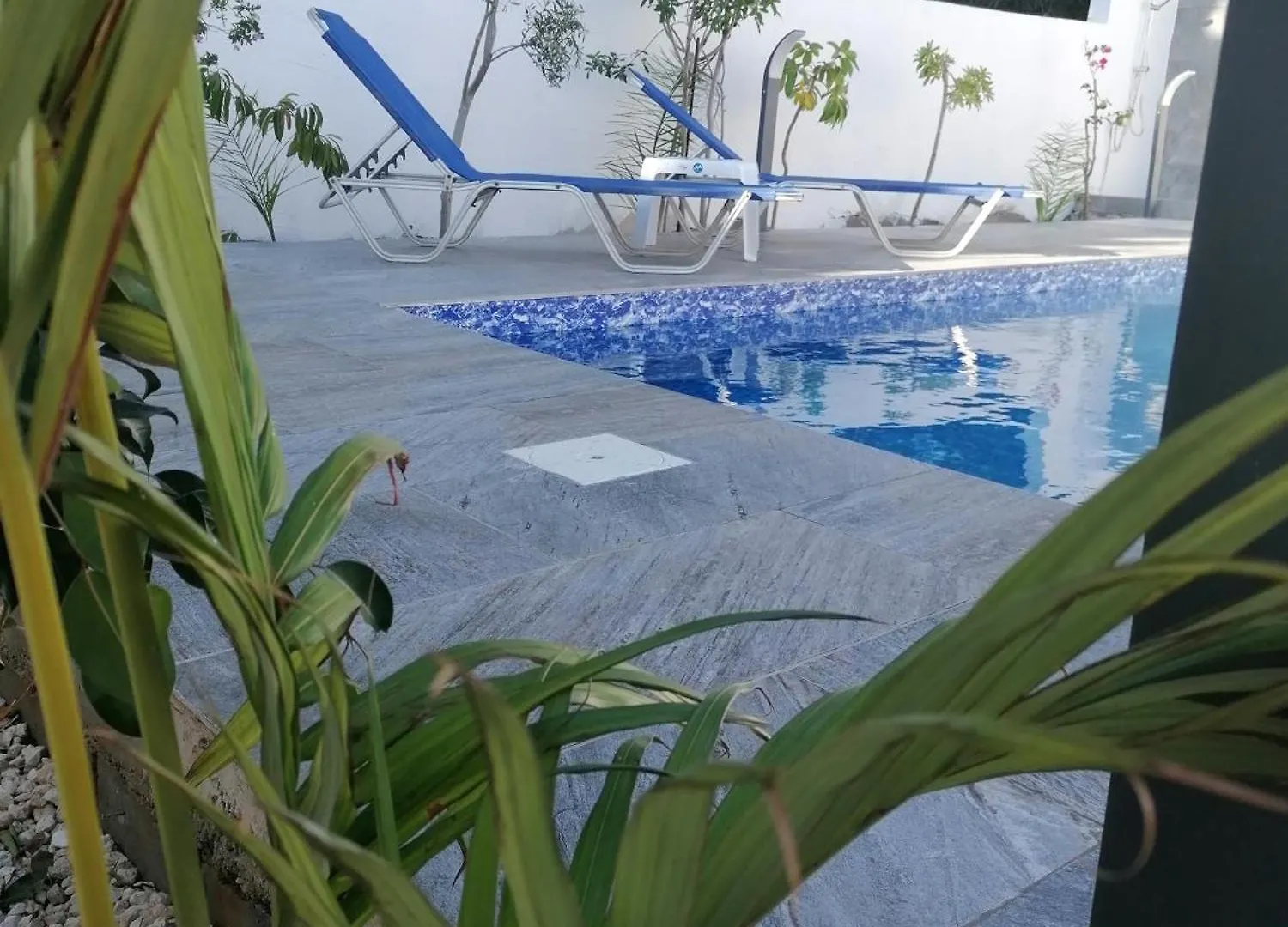 Lava Villa Ayia Napa 0*,
